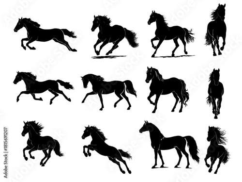 Horse silhouette in various vector formats for illustration purposes