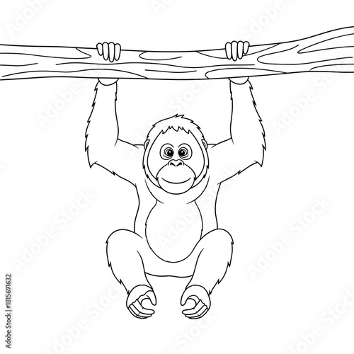 Cute cartoon orangutan hanging from a tree branch. Black and white line art illustration for coloring.