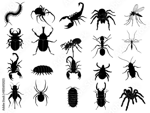 Silhouette of various insects, vector illustration, used for illustration work
