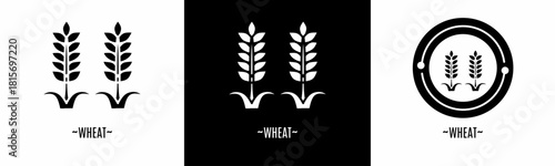 Wheat logo set. Collection of black and white logos. Stock vector
