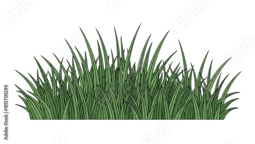 Vibrant Green Grass Illustration on a White Background