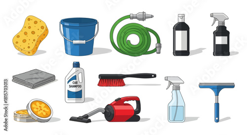 Collection of car washing and detailing supplies for a pristine vehicle