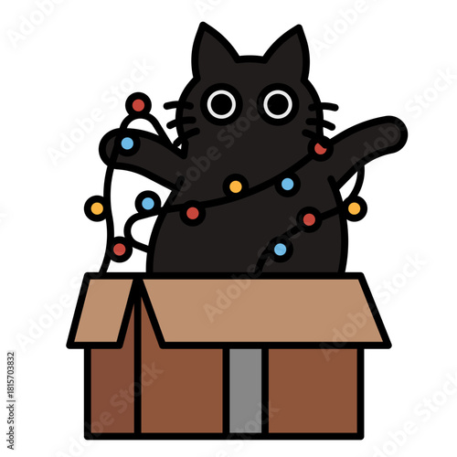 Cat in Christmas box