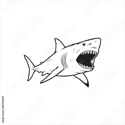 A detailed black and white illustration of a ferocious shark with open jaws.