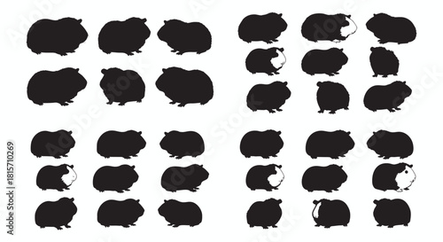 Charming Guinea Pig Silhouettes A Collection of Adorable Rodent Shapes for Design and Illustration