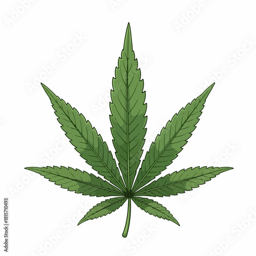 Marijuana Leaf Illustration Green Cannabis Plant for Medical or Recreational Use