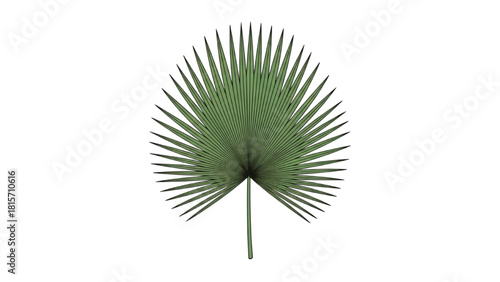 Vibrant green stylized tropical palm leaf illustration, perfect for summer designs and natural themes