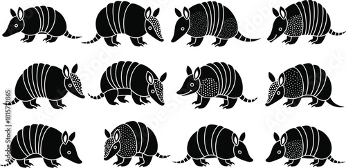Armadillo, silhouette, animal, posture, texture, armor, wildlife, black, white, illustration, concept, figure, nature, mammal, pattern, stylized, design, creature, behavior, icon, species