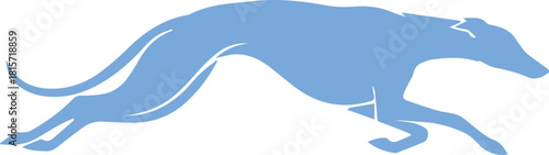 vector illustration of a polar bear