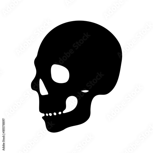 Stylized Black Skull Profile, A Symbol of Mortality and the Macabre