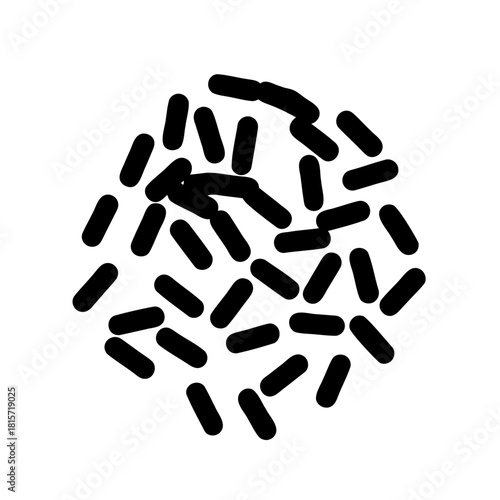 Cluster of black bacilli bacteria cells on a white background vector image