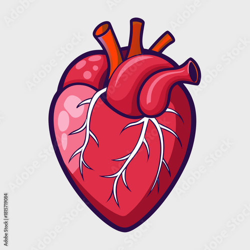 Vibrant human heart anatomy diagram for medical health concept