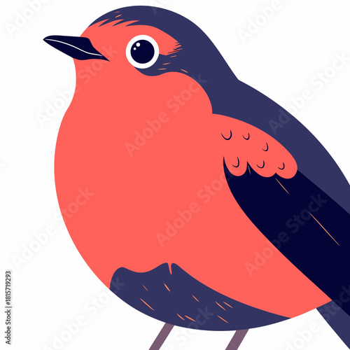 Stylized red-breasted bird illustration with modern flat design