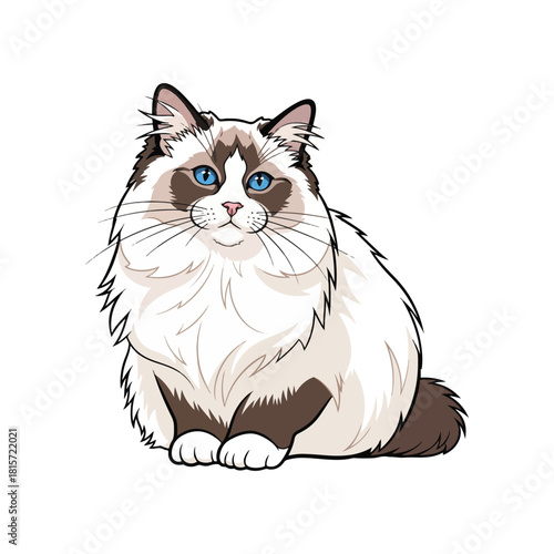 Illustration of a fluffy Ragdoll cat with blue eyes, sitting and looking forward on a white background.