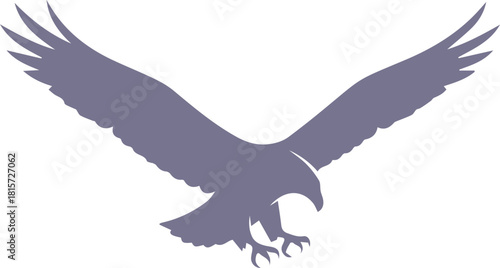 eagle vector illustration