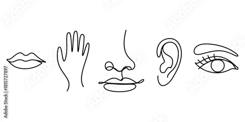 Minimalist line art collection of human senses and body parts