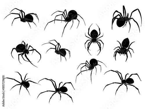 Silhouette of a spider in many different styles, used for illustration work