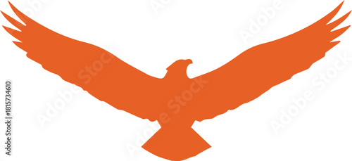 vector illustration of a bird
