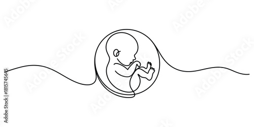 Continuous line art drawing of a human fetus in the womb stage