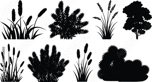 Bush and grass silhouette collection, wild plants, shrubs and tree shapes, landscape vegetation elements, black botanical vector illustration set