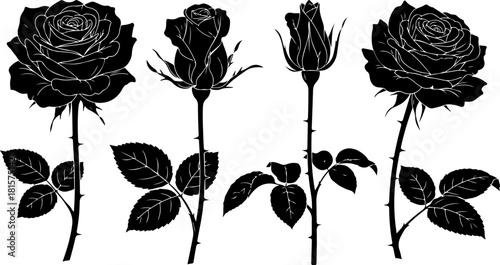 Black Rose Silhouette Variety Vector Set