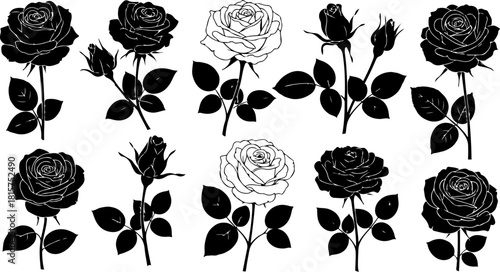 Black Rose Silhouette Variety Vector Set