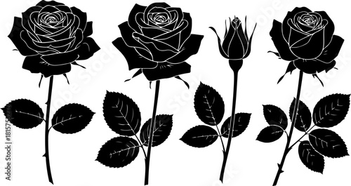 Black Rose Silhouette Variety Vector Set