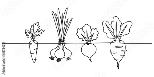 Minimalist continuous line art of fresh root vegetables growing