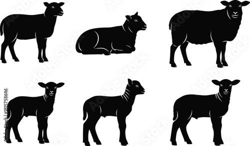 Black Silhouette Vector Collection of Sheep and Lambs in Various Poses, Featuring Farm Animals for Wool, Meat, and Agricultural Product Design