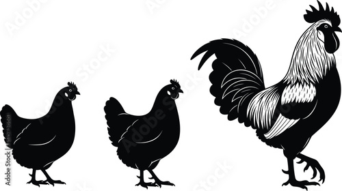 Black Silhouette Vector Set of a Majestic Rooster and Two Hens, Representing Poultry Farm Animals, Ideal for Logo or Farm Product Packaging Design