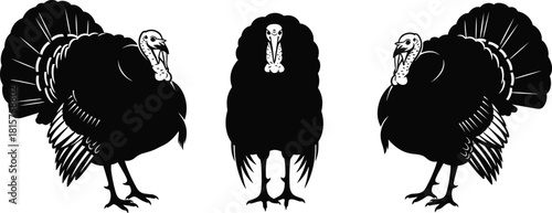 Black Silhouette Vector Set of Three Male Turkeys Displaying Tail Feathers, Ideal for Thanksgiving, Hunting, and Seasonal Food Product Branding