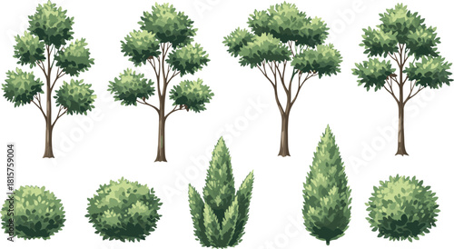 Collection of eight realistic watercolor trees and shrubs, including round bushes and conical evergreens, isolated on a transparent background vector set. (20 words)