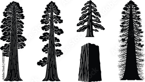 Four highly detailed redwood and sequoia tree silhouettes featuring various styles, including one tree stump, in black and white vector graphics set. (20 words)