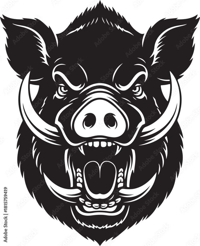 Obraz premium Intense wild boar head portrait growling with open mouth showing large sharp tusks and aggressive facial expression vector