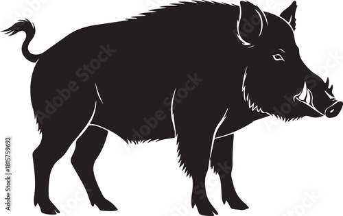 Wild boar standing black silhouette illustration with large tusks showing bristly coat and tail on transparent background