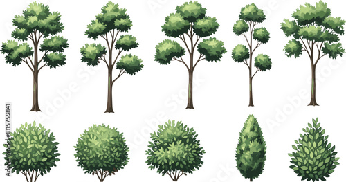 Realistic watercolor illustration set of five deciduous trees and five detailed green landscaping bushes isolated on a transparent background vector. (20 words)