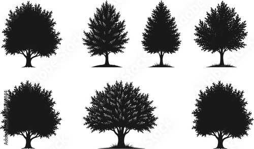 Vector set of realistic deciduous tree silhouettes with dense foliage for nature and landscape design projects.