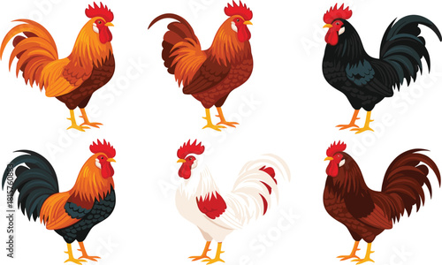 Vibrant Vector Collection of Six Colorful Roosters in Various Breeds and Feather Patterns, Ideal for Farm, Poultry, and Food Product Branding