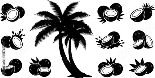 Coconut Silhouettes Bundle with Palm Tree – Tropical Fruit Black Vector Set