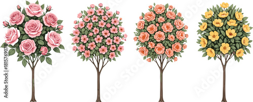 Set of four flowering topiary trees: pink and peach roses, pink dogwood, and yellow buttercups. Floral decorative garden vector illustration on white background
