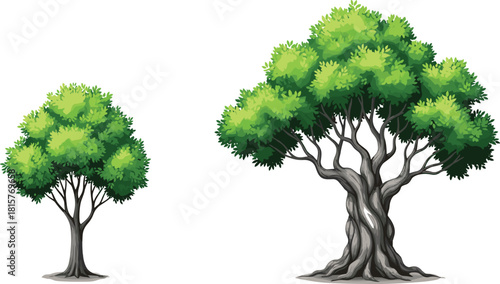 Vector illustration showing small and large trees, highlighting the stark contrast between young life and the ancient, twisted, strong trunk of a mature tree.