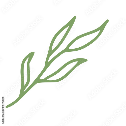 green leaf in handdrawn outline