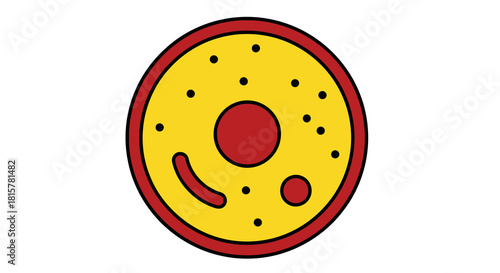 Abstract biological cell illustration with nucleus and organelles, representing life sciences and scientific research