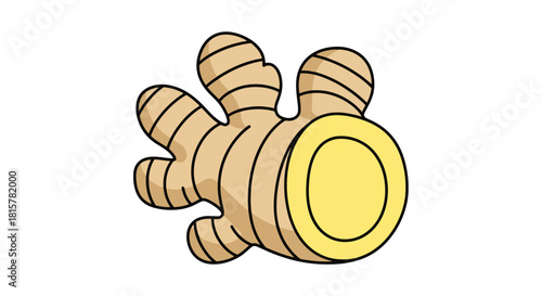A simple illustration of a fresh ginger root on a white background