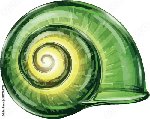 Green snail shell illustration detailed vector drawing of a spiral seashell isolated on white background