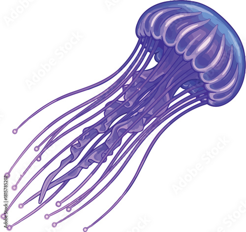 purple jellyfish floating on white background clip art preview