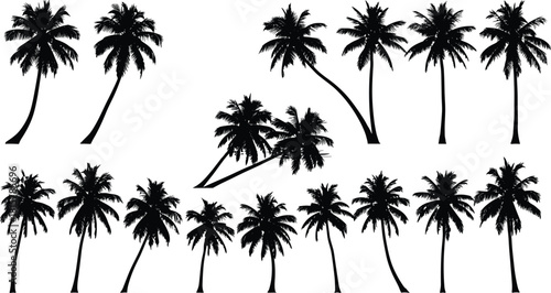 Palm tree silhouette collection, tropical coconut trees vector set, beach summer landscape elements, exotic nature illustration for vacation design