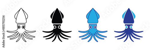 Set of four squid icons in line art, solid black, light blue, and dark blue colors, isolated on white background.