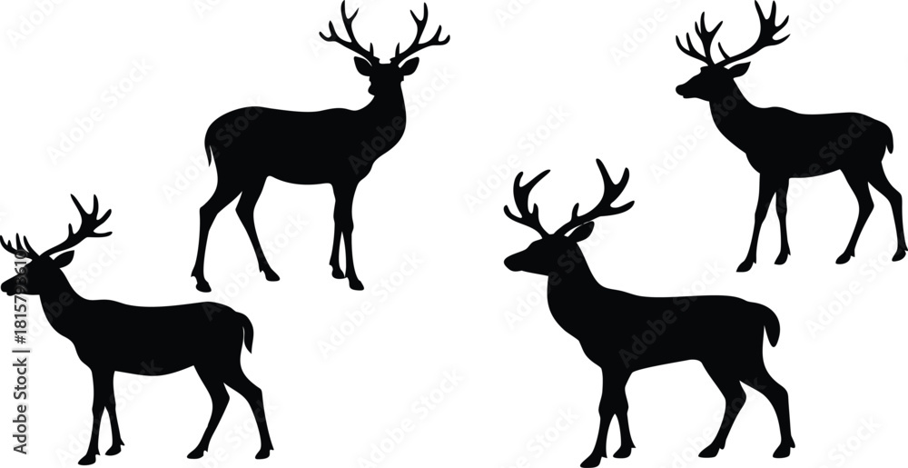 Obraz premium Solid black silhouette of animals