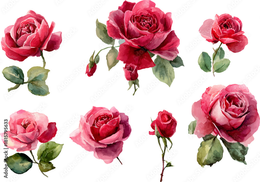 Fototapeta premium bouquet of roses